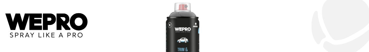 Trim and Bumper Paint