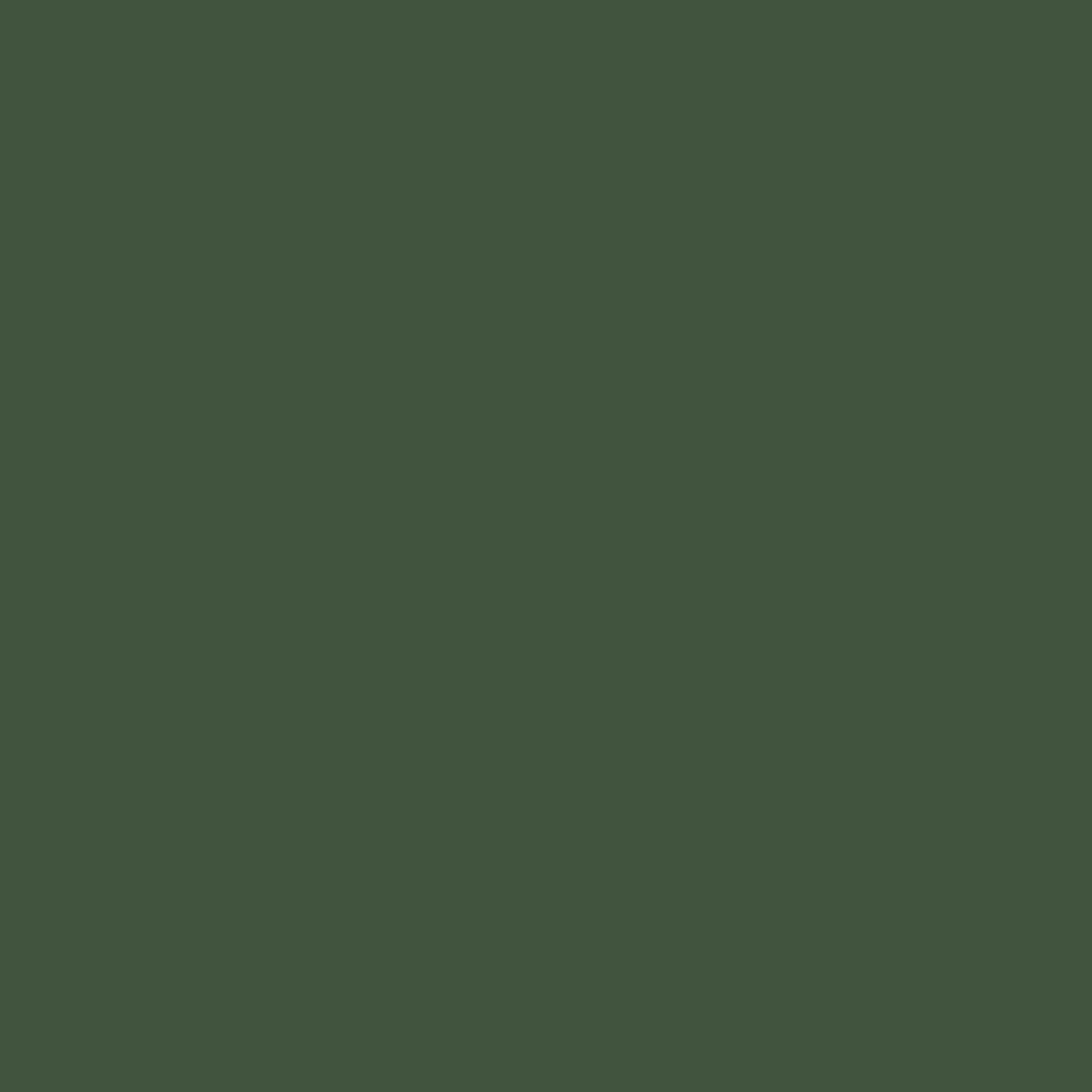 MTN VICE Spray Paint - Tasmania Green (VRV-36)