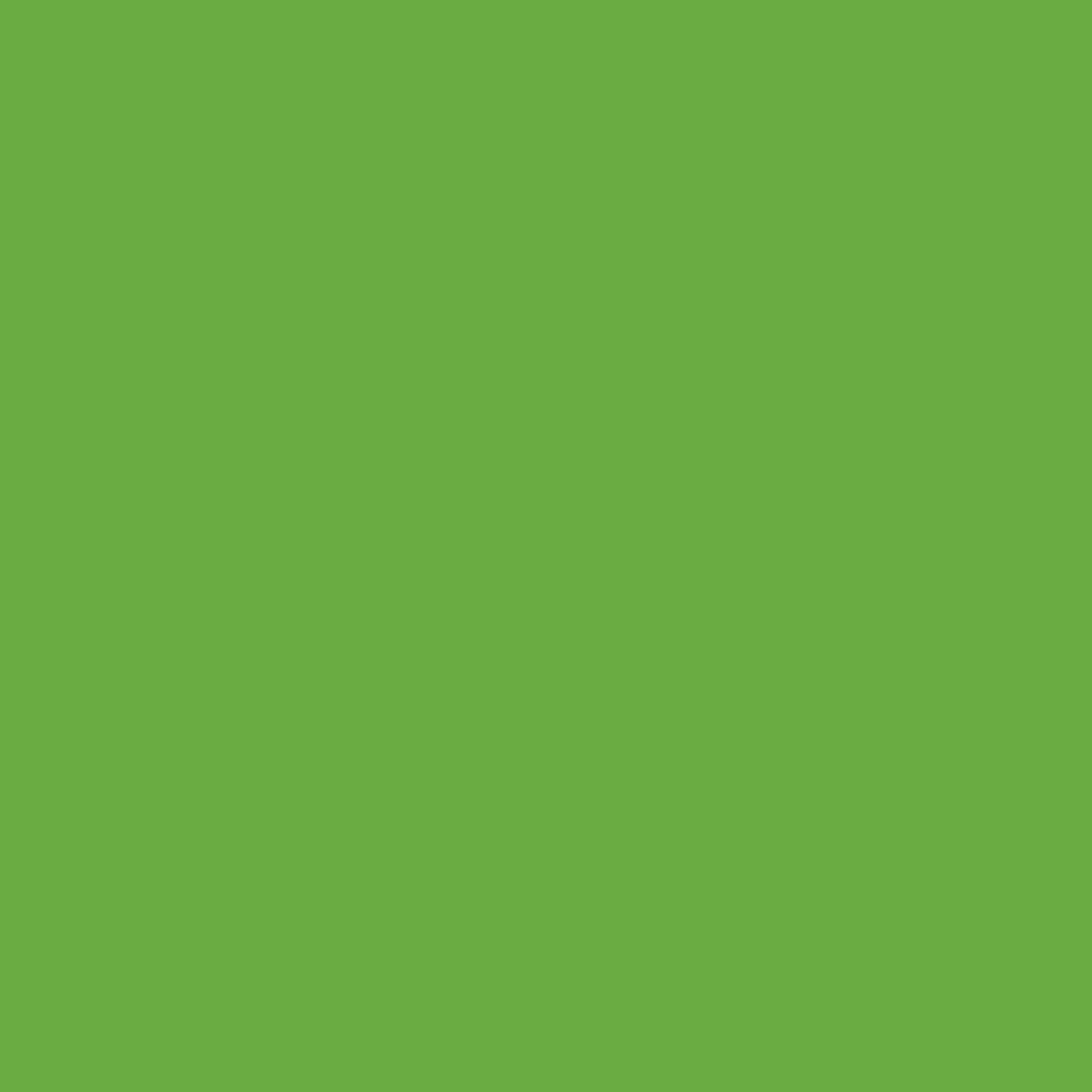 MTN VICE Spray Paint - Sniper Green (VRV-34)