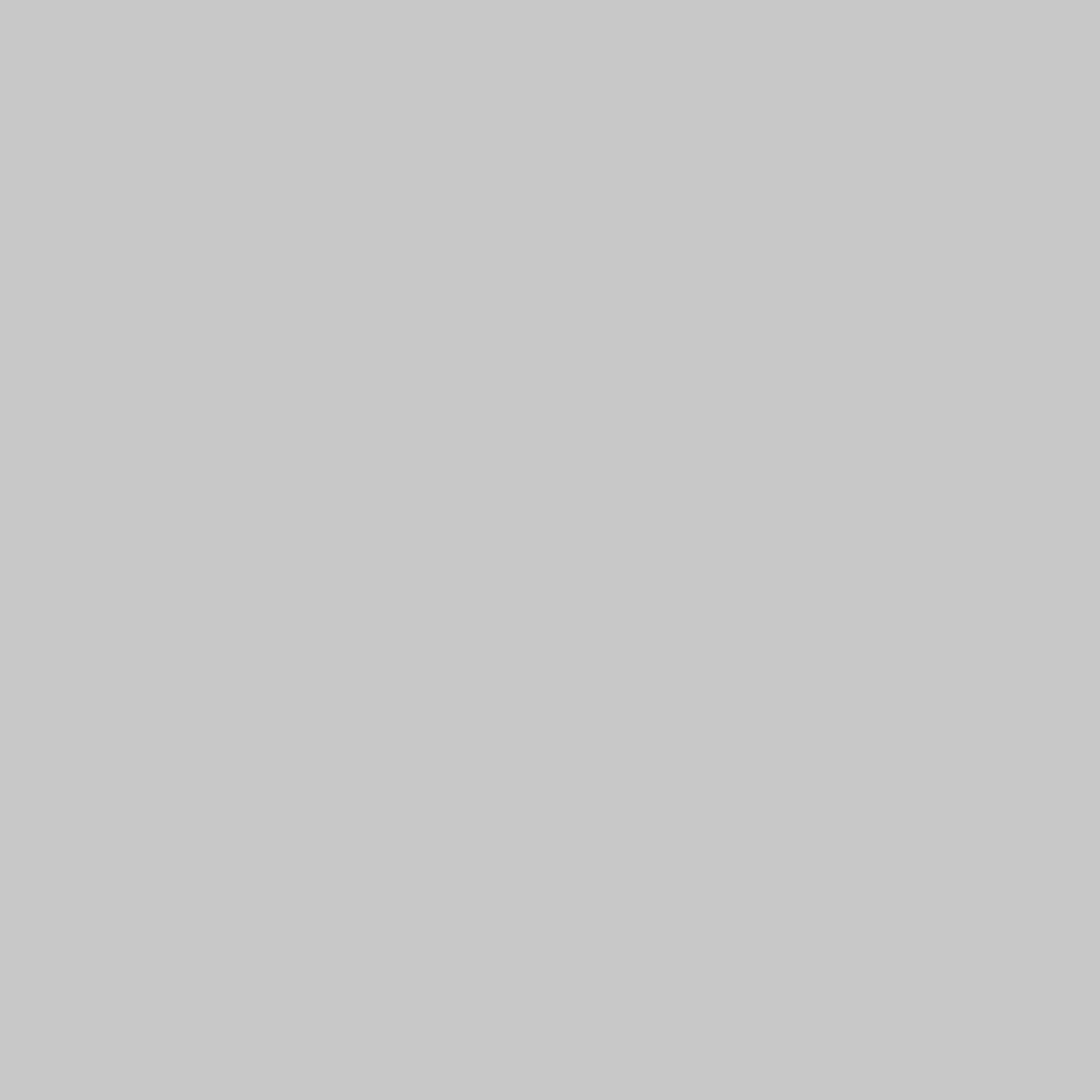 MTN VICE Spray Paint - Shredder Grey (VRV-45)