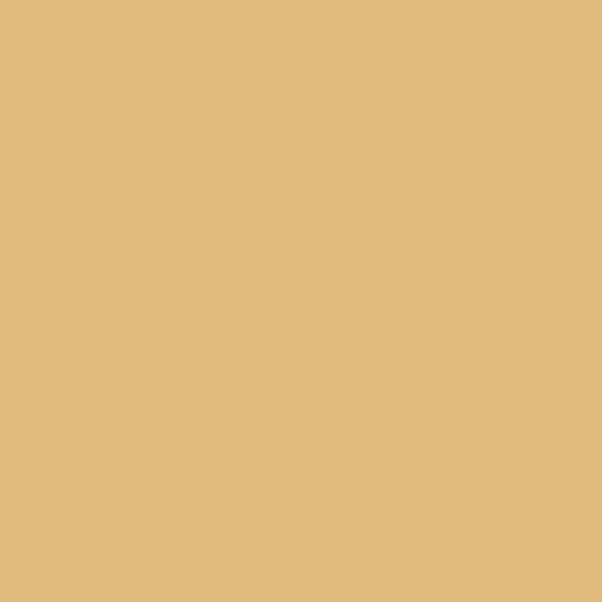 MTN VICE Spray Paint - Piggy Brown (VRV-41)