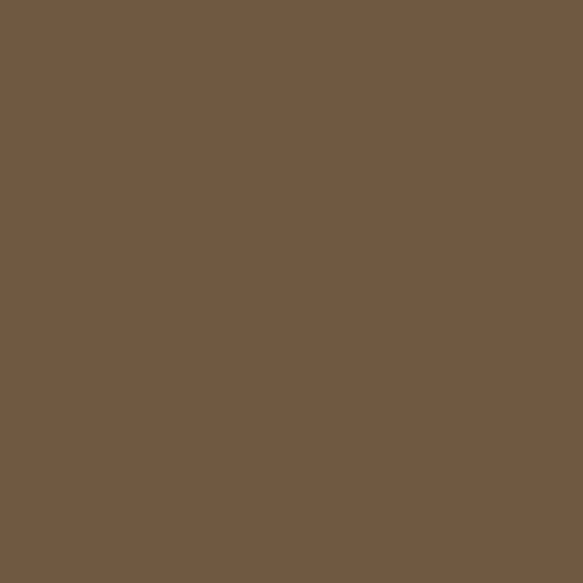 MTN VICE Spray Paint - Freight Brown (VRV-44)