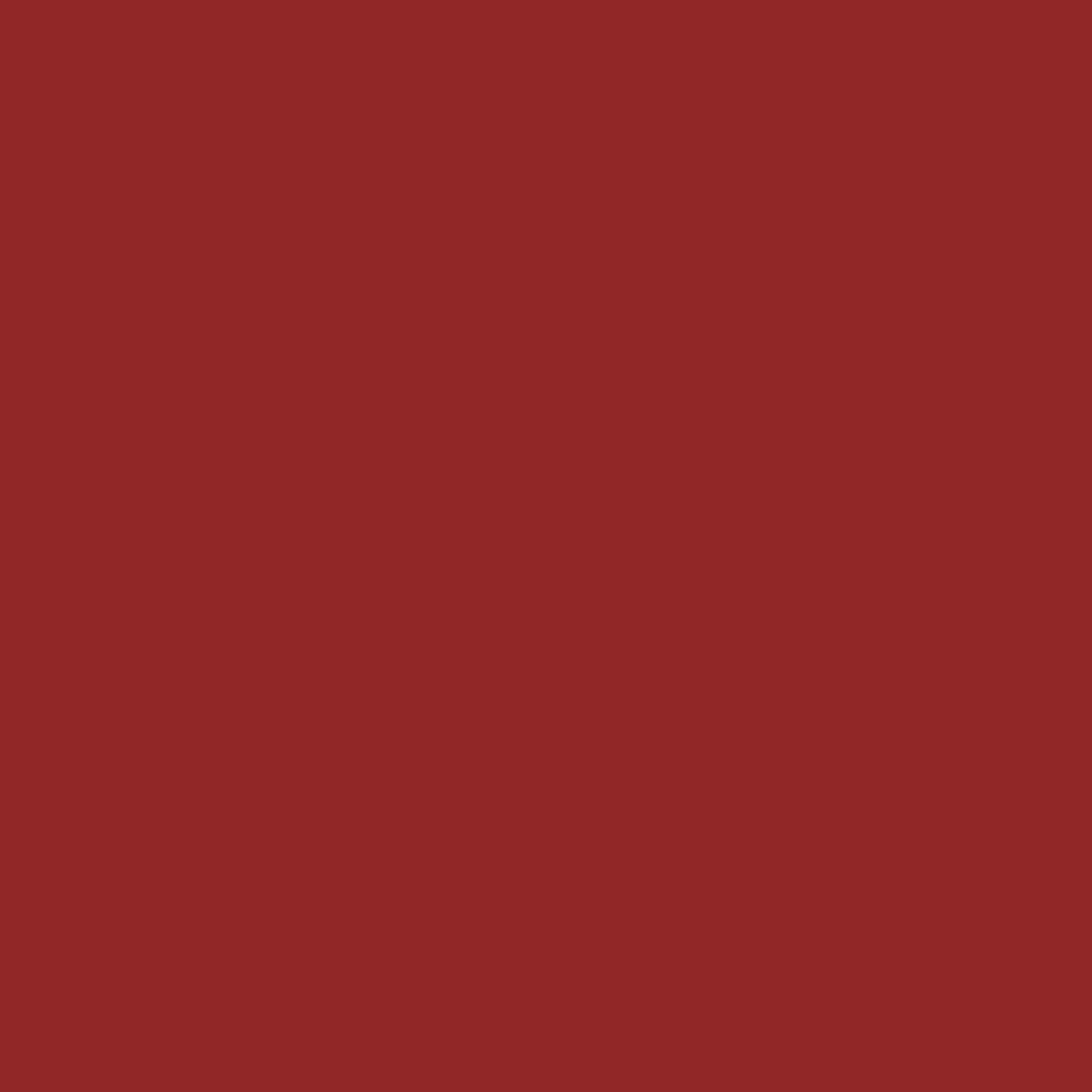 MTN VICE Spray Paint - Fox Red (VRV-12)