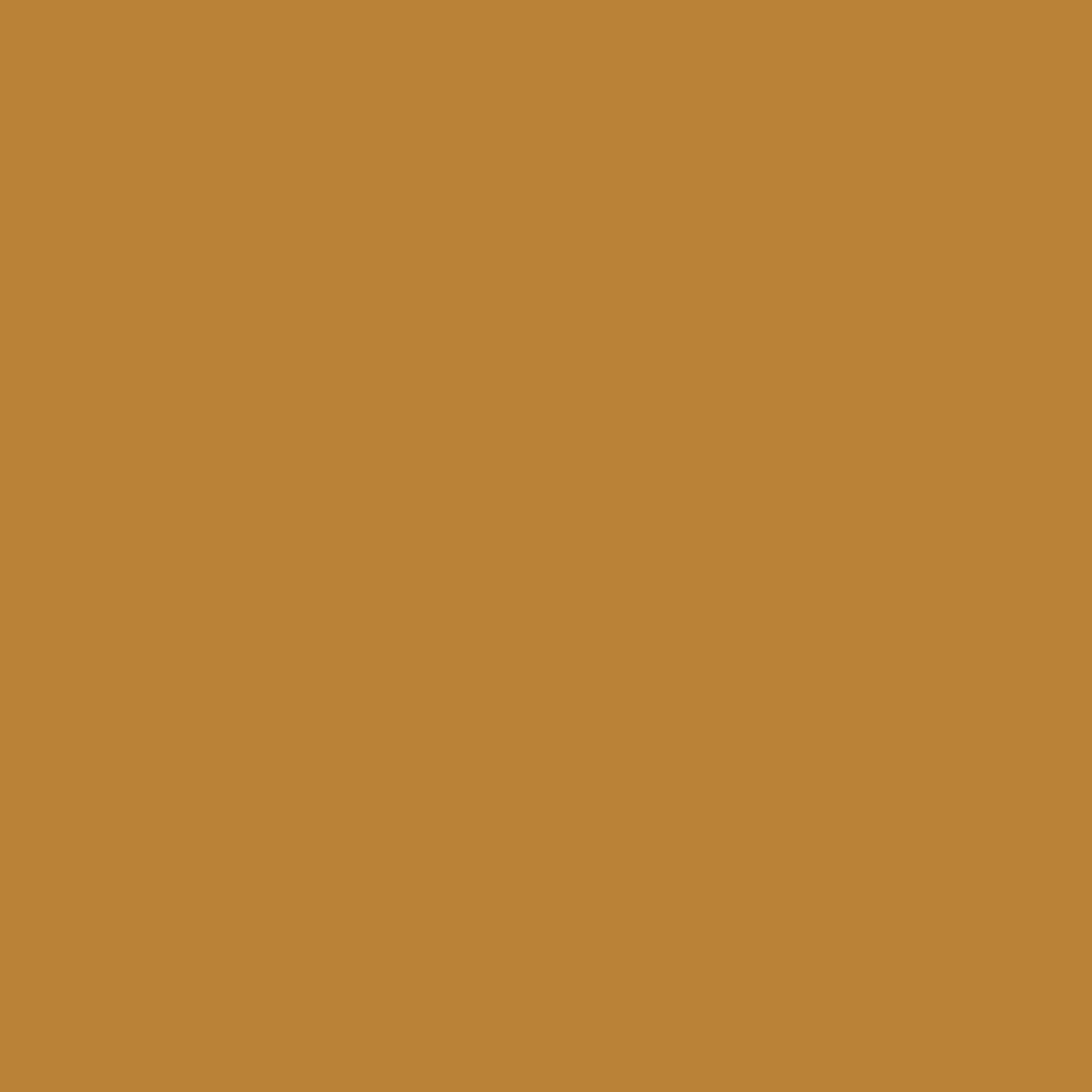 MTN VICE Spray Paint - Wallaby Brown (VRV-43)