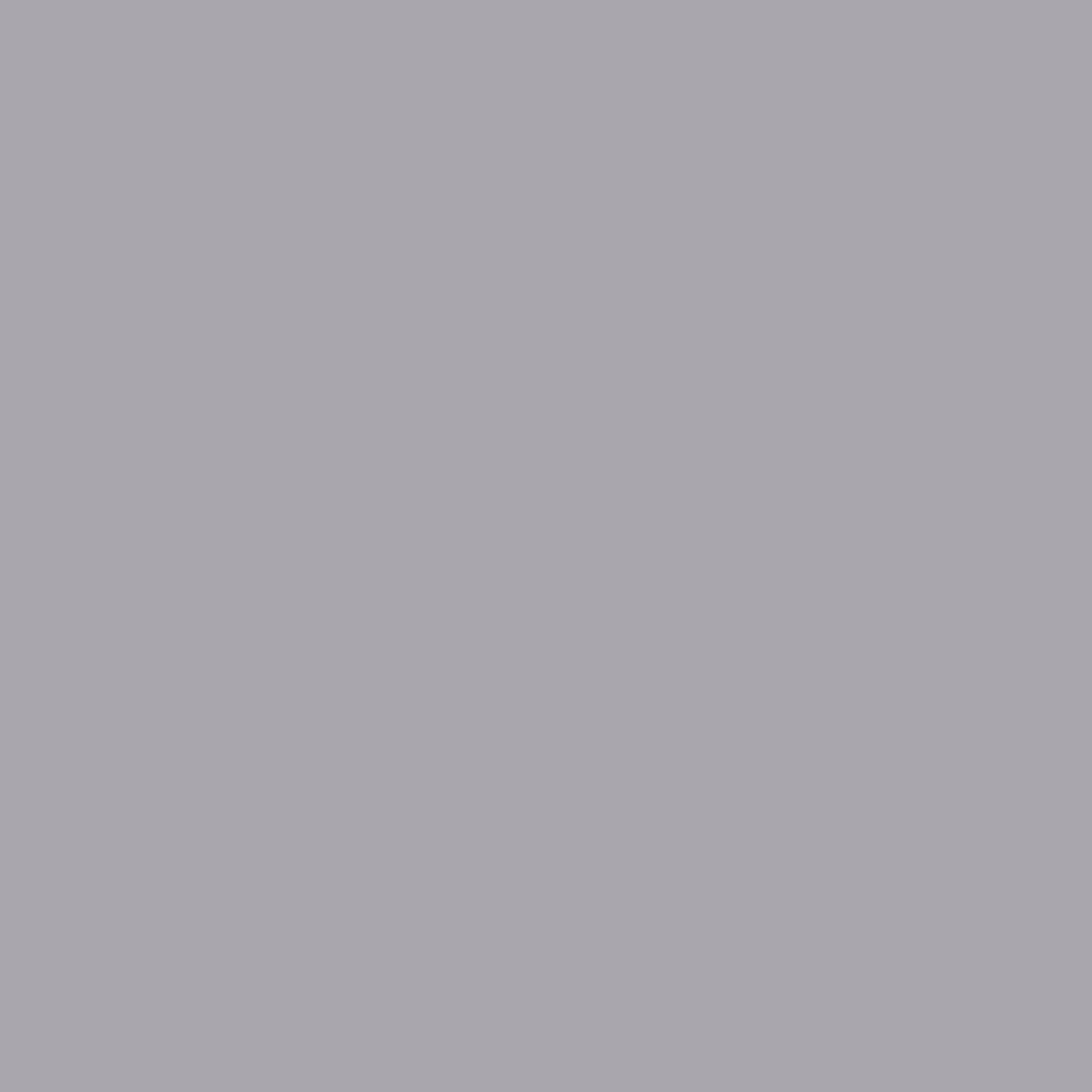 MTN VICE Spray Paint - Wire Grey (VRV-46)