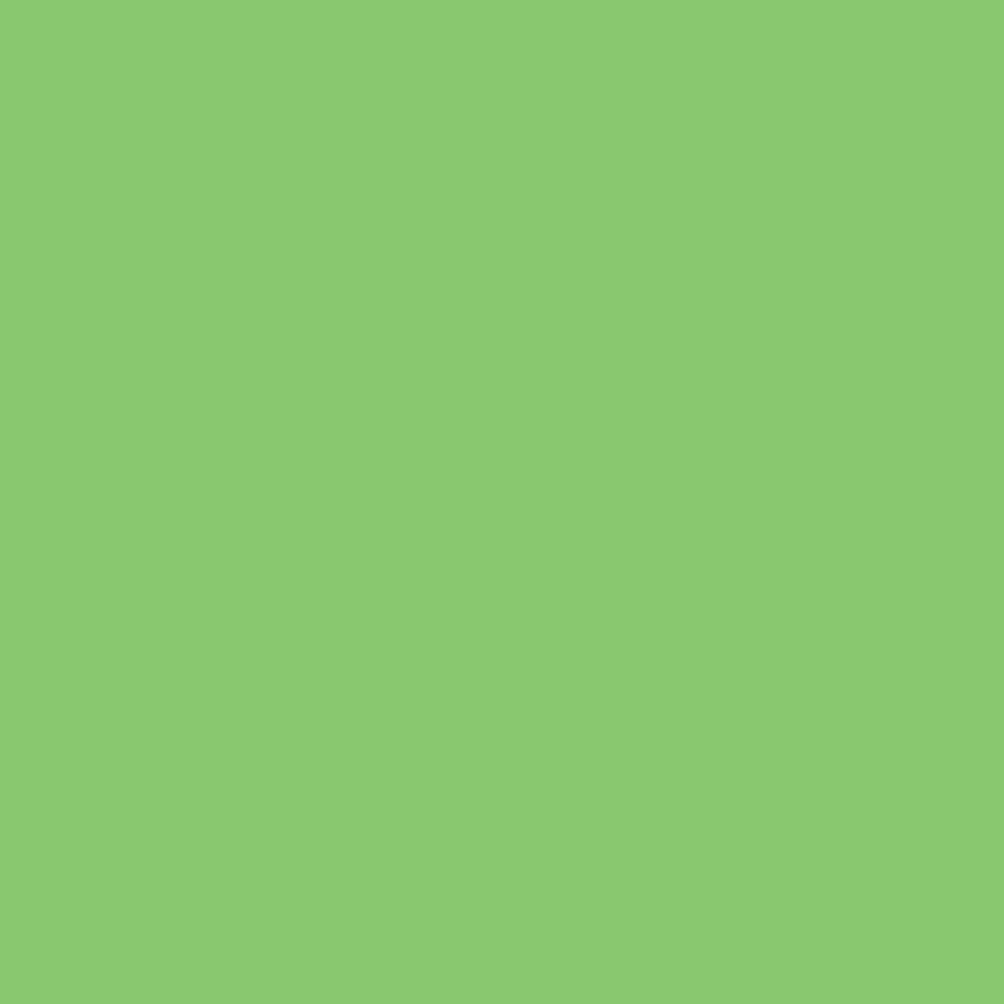 MTN VICE Spray Paint - Trinidad Green (VRV-33)