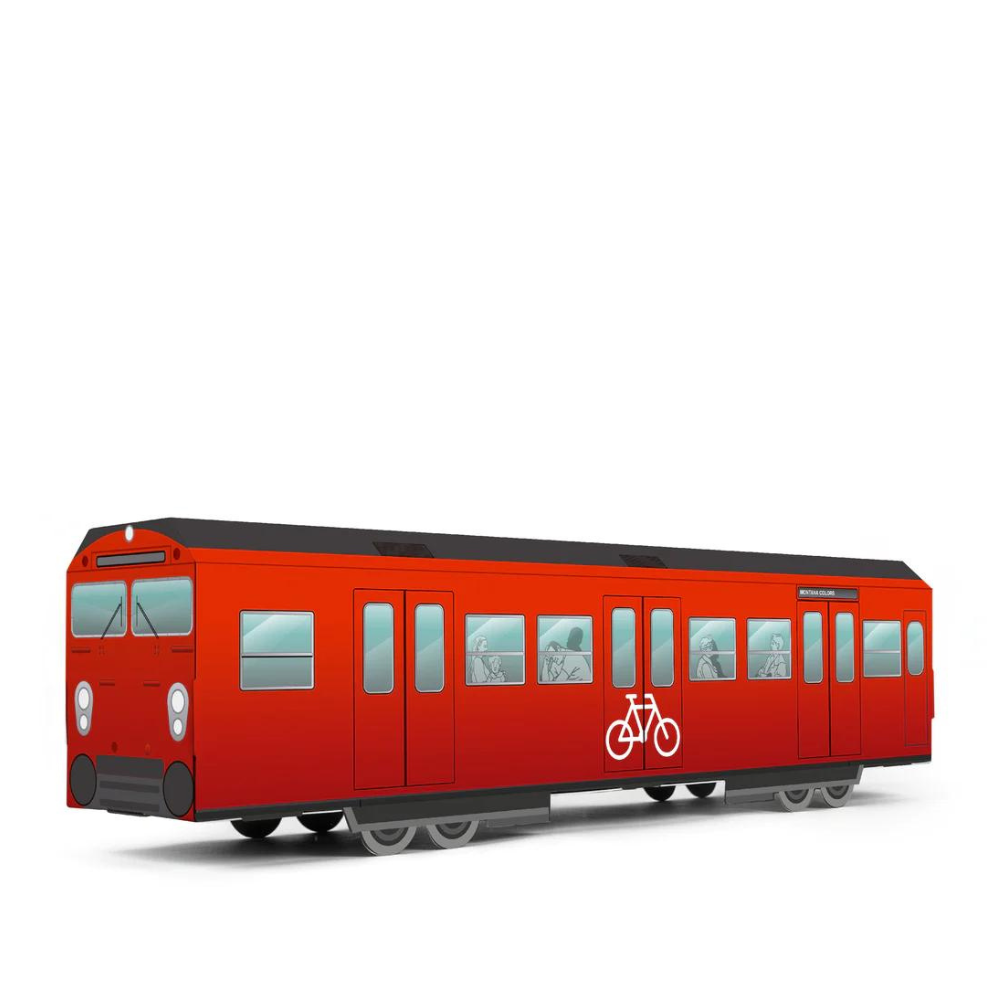 MTN Systems Copenhagen S-Train