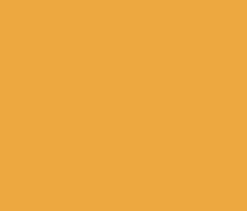 MTN Acrylic Marcador 1mm - Orange