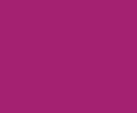 MTN 94 Graphic Marker - RV 166 Acai Red